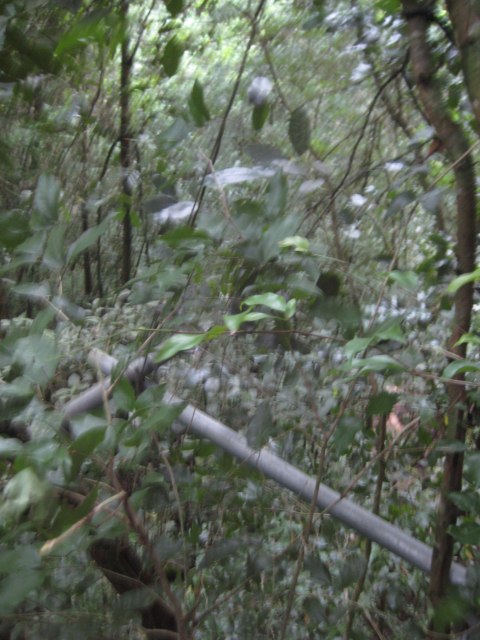 Belize — photograph 28