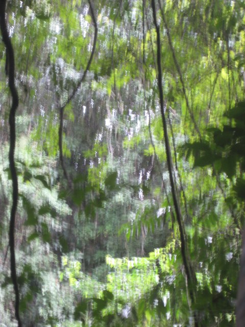 Belize — photograph 34
