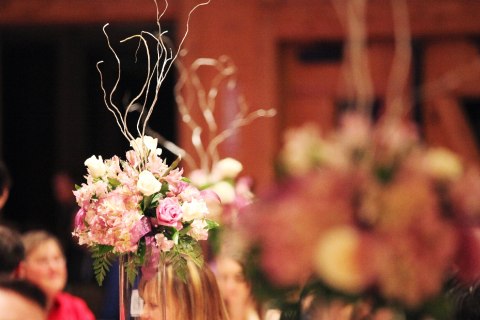 image385.jpg