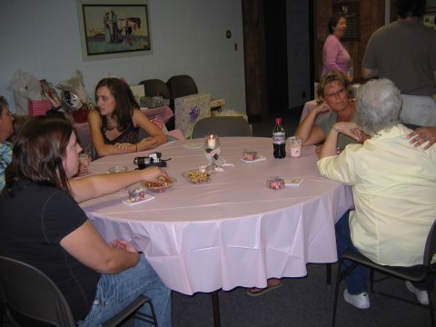 Bridal shower in Holt, photograph 19