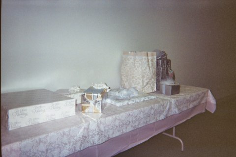 Reception - disposable cameras, photograph 11