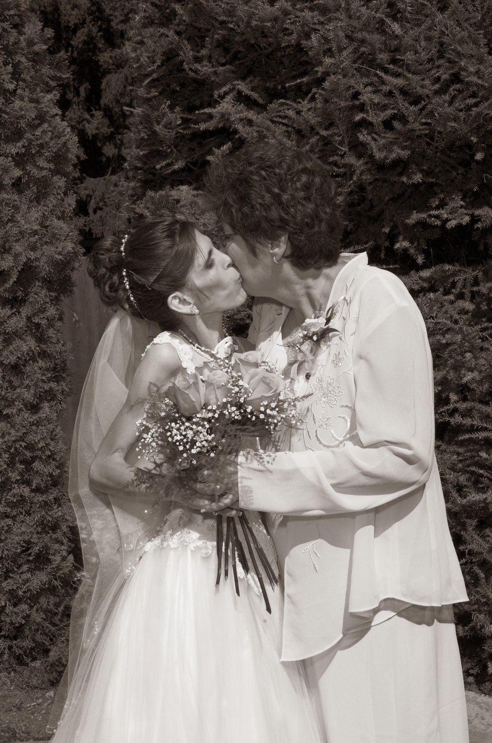 Professional photographs, photograph 15