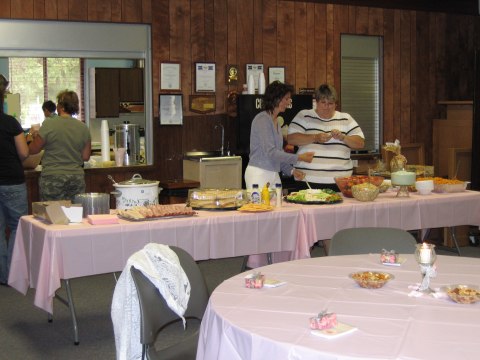 Bridal shower in Holt, photograph 9
