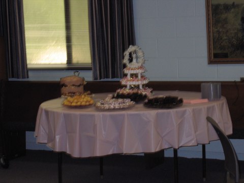 Bridal shower in Holt, photograph 10