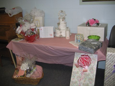 Bridal shower in Holt, photograph 2