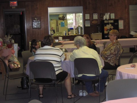 Bridal shower in Holt, photograph 8