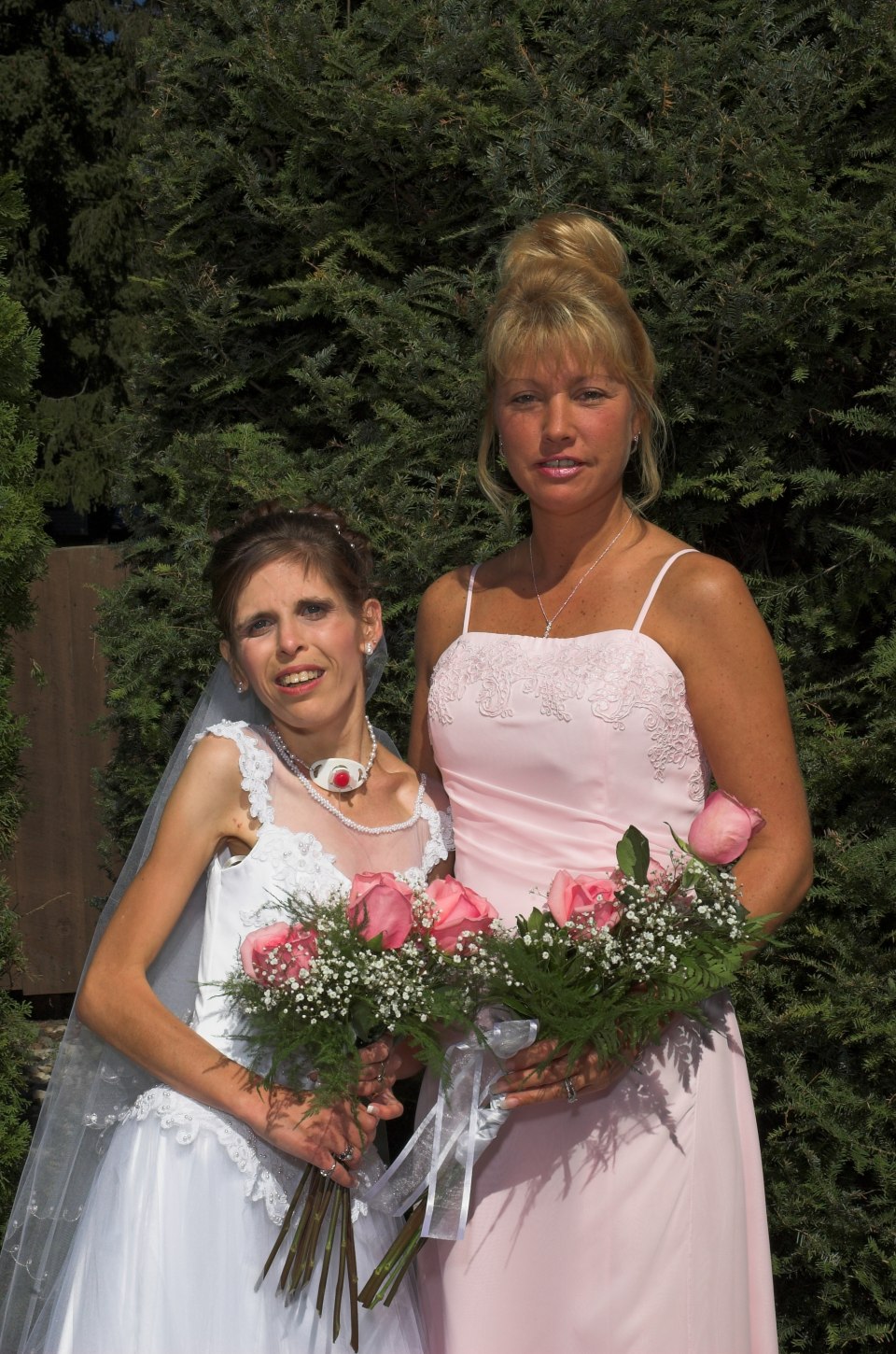 Professional photographs, photograph 100
