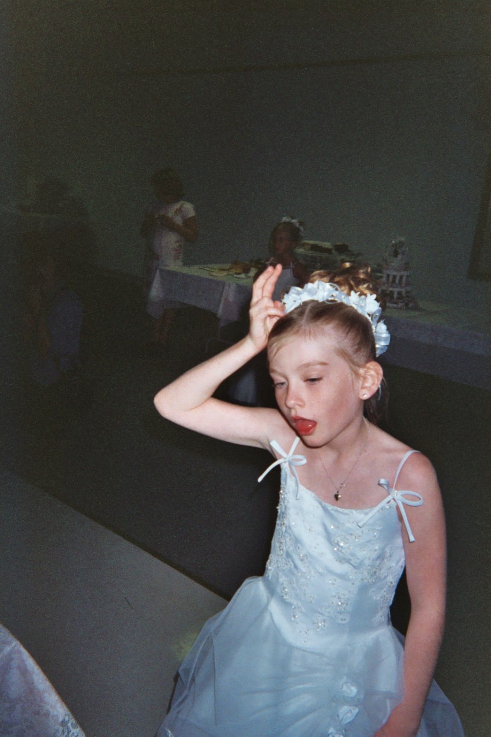 Reception - disposable cameras, photograph 130