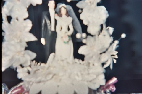 Reception - disposable cameras, photograph 51