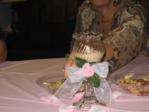 Bridal shower in Holt, photograph 23