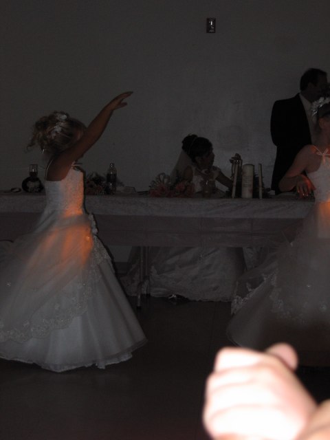 Reception - Gail, photograph 27