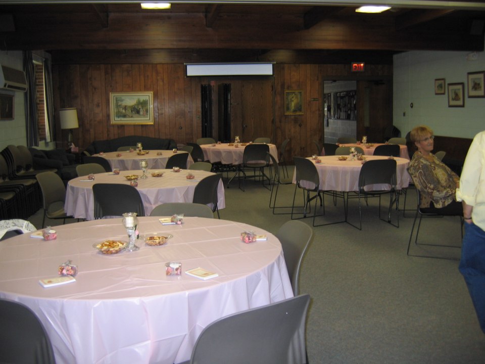 Bridal shower in Holt, photograph 4