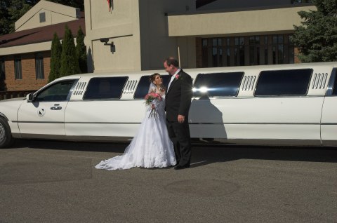 Professional photographs, photograph 98