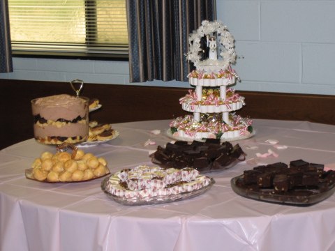 Bridal shower in Holt, photograph 11