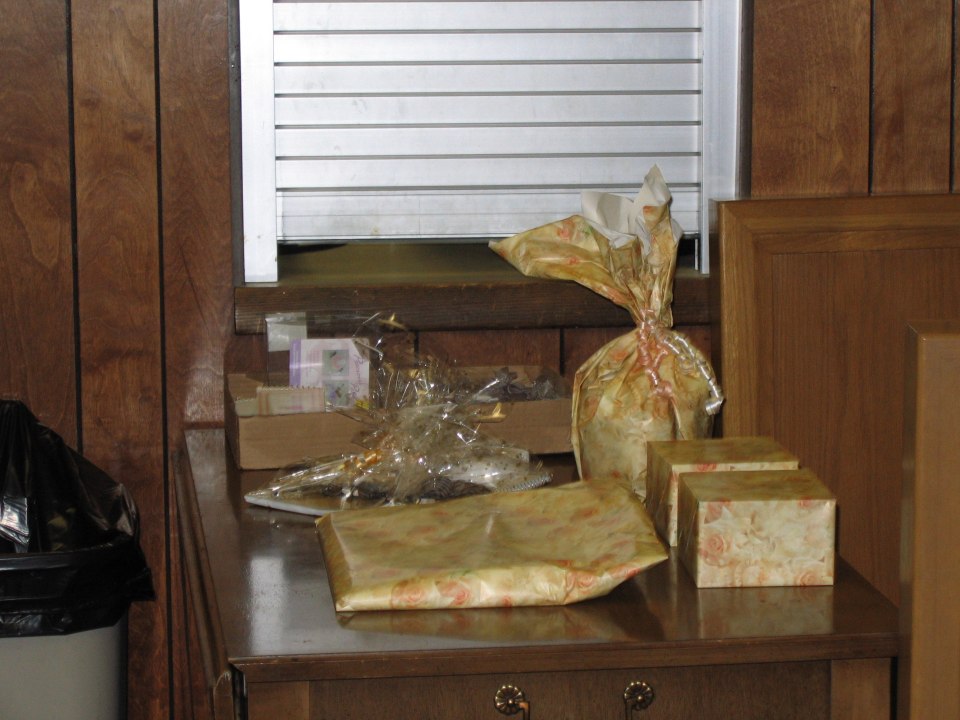 Bridal shower in Holt, photograph 12