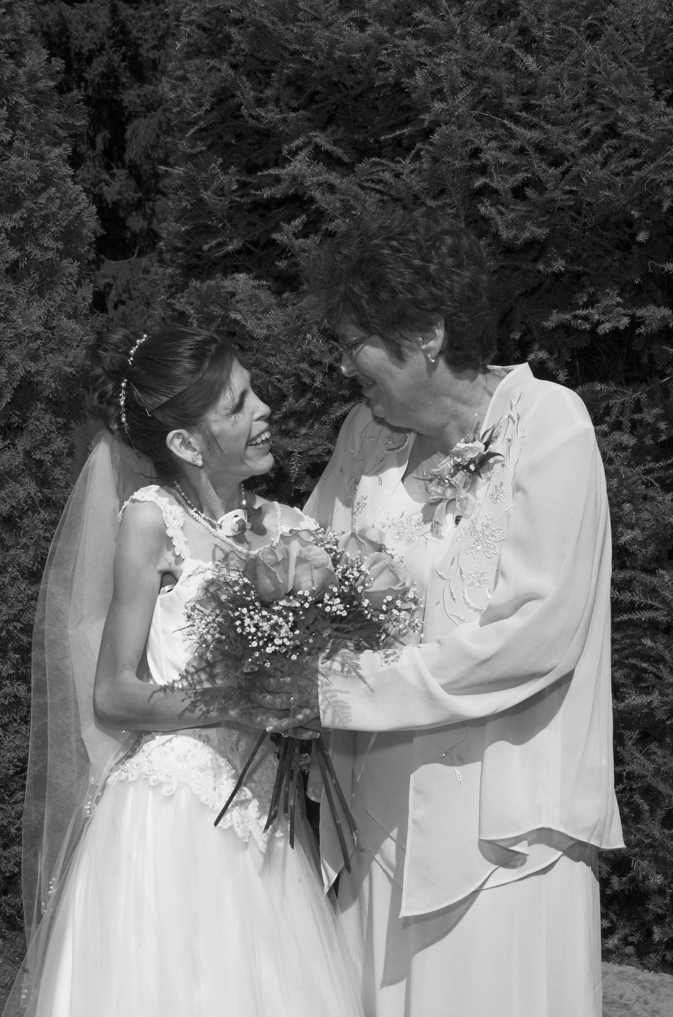 Professional photographs, photograph 14