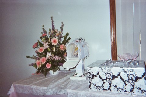 Reception - disposable cameras, photograph 15