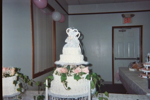 Reception - disposable cameras, photograph 222