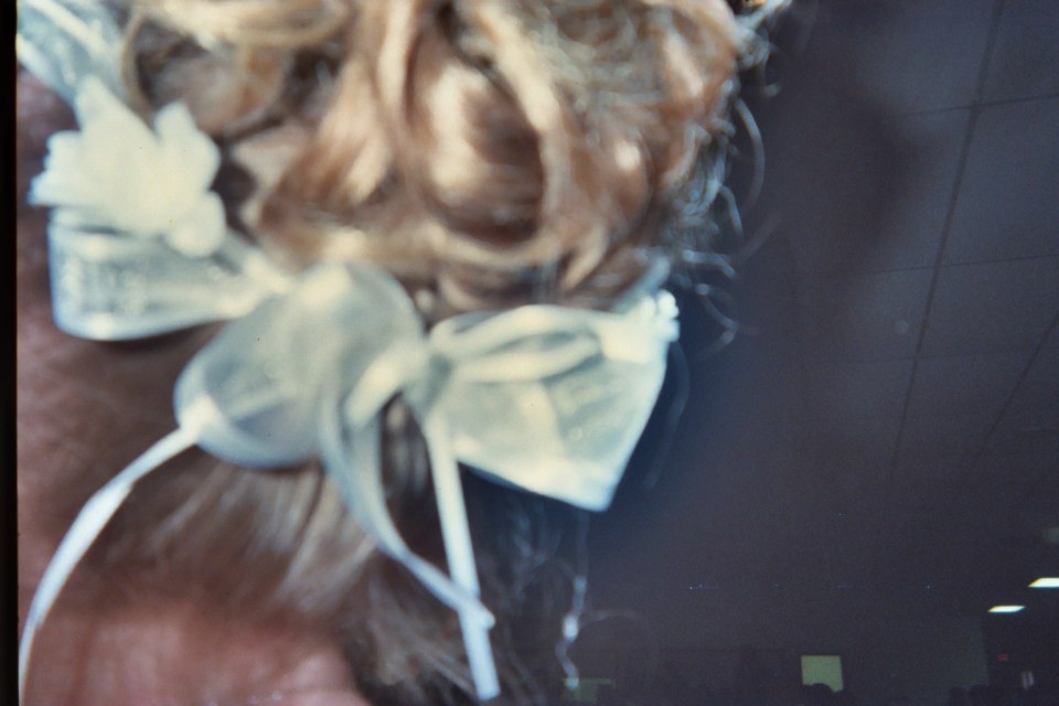Reception - disposable cameras, photograph 120